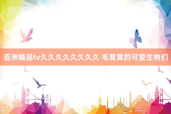 亚洲精品tv久久久久久久久久 毛茸茸的可爱生物们