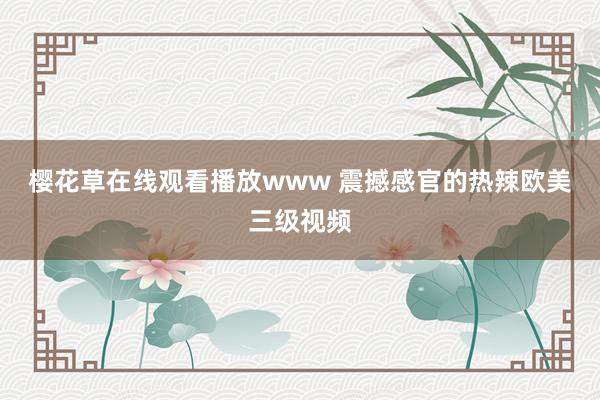 樱花草在线观看播放www 震撼感官的热辣欧美三级视频