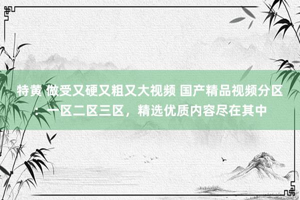 特黄 做受又硬又粗又大视频 国产精品视频分区：一区二区三区，精选优质内容尽在其中