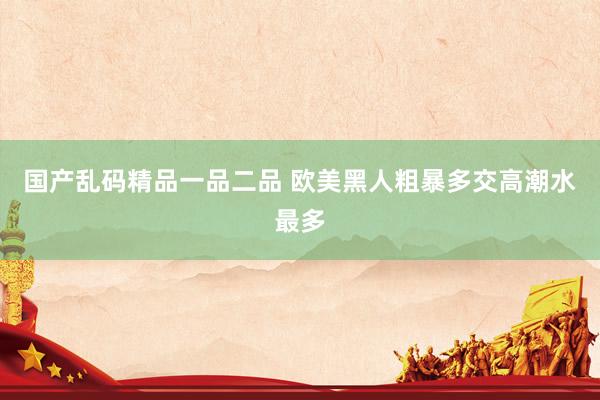 国产乱码精品一品二品 欧美黑人粗暴多交高潮水最多