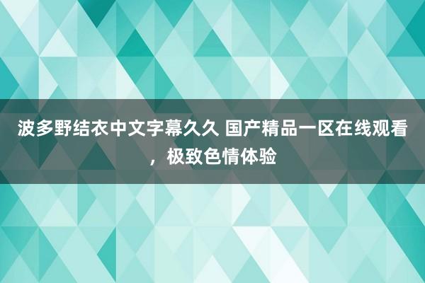 波多野结衣中文字幕久久 国产精品一区在线观看，极致色情体验